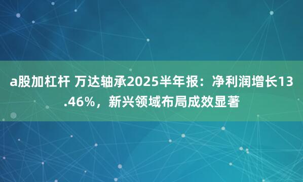 a股加杠杆 万达轴承2025半年报：净利润增长13.46%，新兴领域布局成效显著