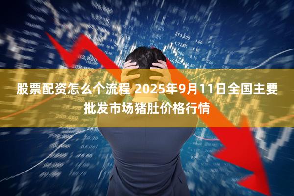 股票配资怎么个流程 2025年9月11日全国主要批发市场猪肚价格行情